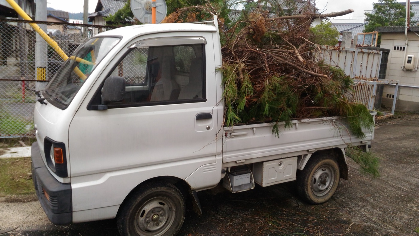 Mitsubishi Minicab kei truck loaded with tree branches on a rural Japanese road